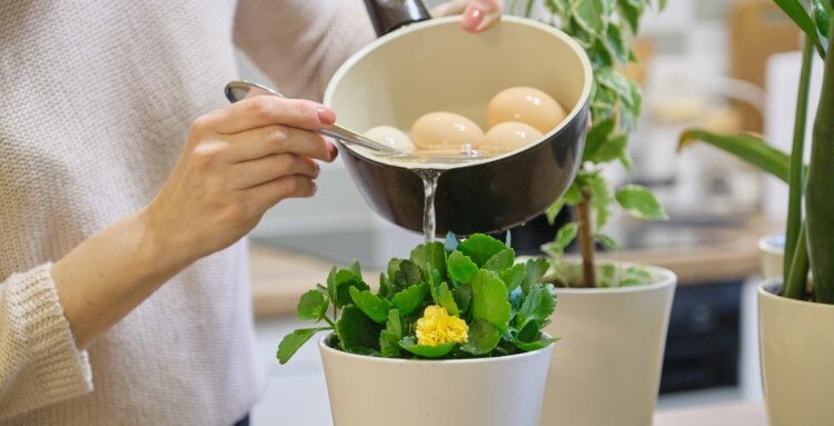 CÓMO AHORRAR AGUA EN CASA: CONSEJOS PARA REDUCIR SU USO