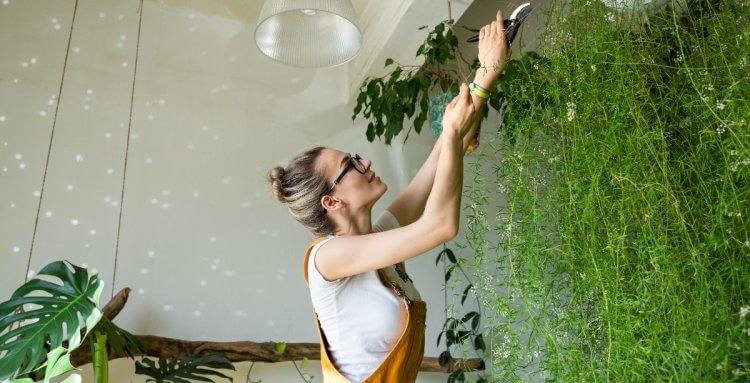 JARDINES VERTICALES: CÓMO MONTAR UNO EN CASA