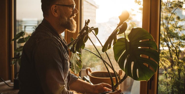 PLANTAS PARA PRINCIPIANTES (CASI IMPOSIBLES DE MATAR)