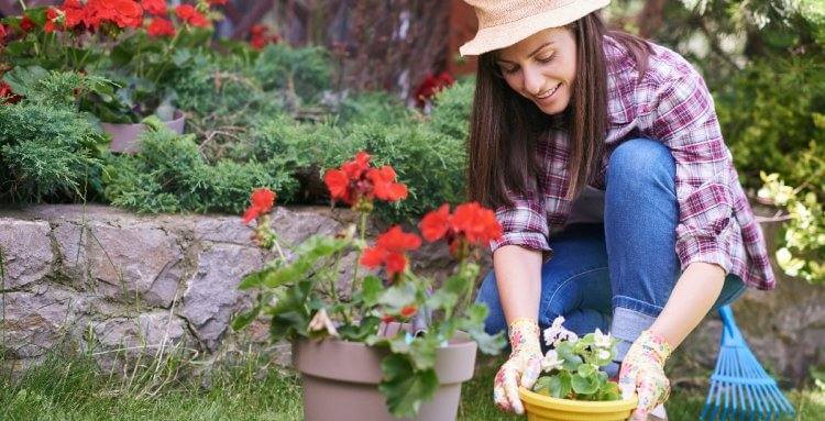 ¿CÓMO PUEDO MEJORAR MI JARDÍN? 10 CONSEJOS PARA PRESUMIR