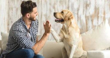 LEY DE BIENESTAR ANIMAL 2023: ¿CÓMO TE AFECTA?