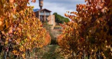 LAS 10 MEJORES ESCAPADAS EN OTOÑO POR ESPAÑA