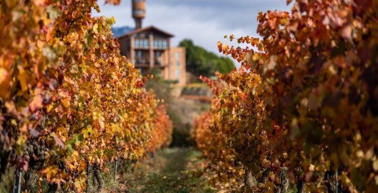 LAS 10 MEJORES ESCAPADAS EN OTOÑO POR ESPAÑA