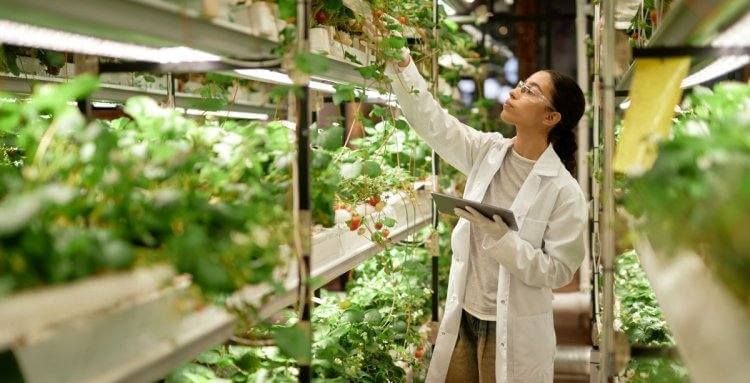 Quien siembra sostenibilidad, recoge oportunidades reales: una hoja de ruta para los jóvenes agricultores