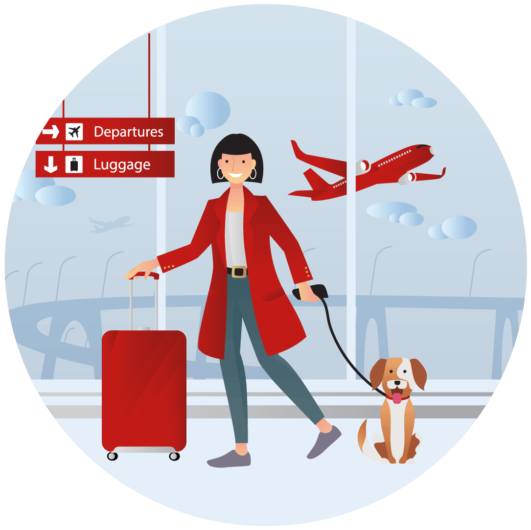 Asistencia veterinaria