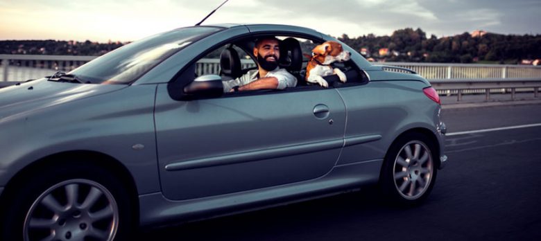 Las coberturas menos conocidas de los seguros de auto, un tema con mucho recorrido