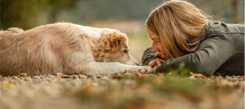 Seguros de decesos con cobertura para mascotas: porque los animales son parte de la familia