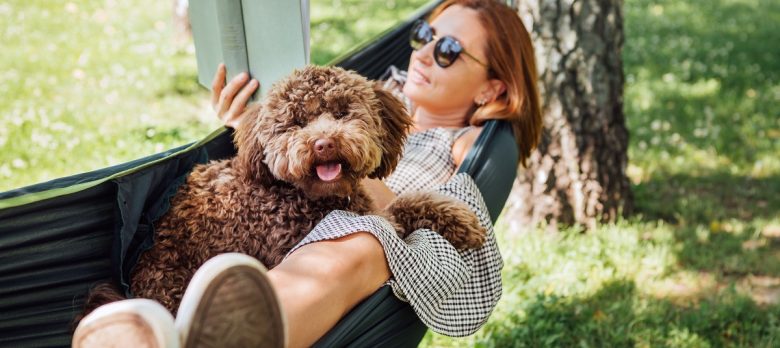¿Qué hacer con tu mascota cuando te vas de vacaciones?
