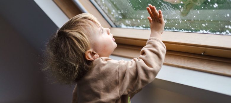 ¿El seguro cubre los daños por granizo en el hogar?