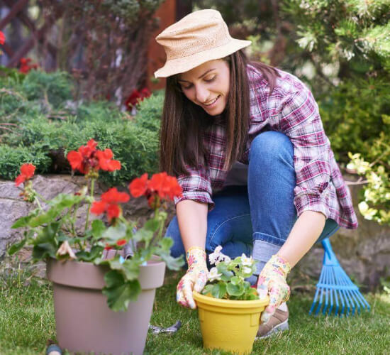 ¿Cómo puedo mejorar mi jardín? 10 consejos para presumir