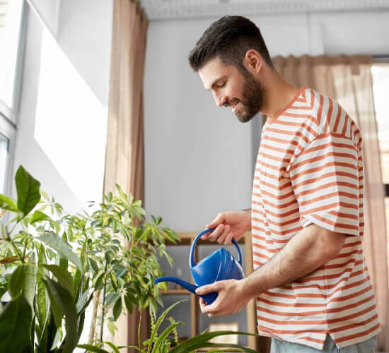 Guía completa para cuidar plantas de interior