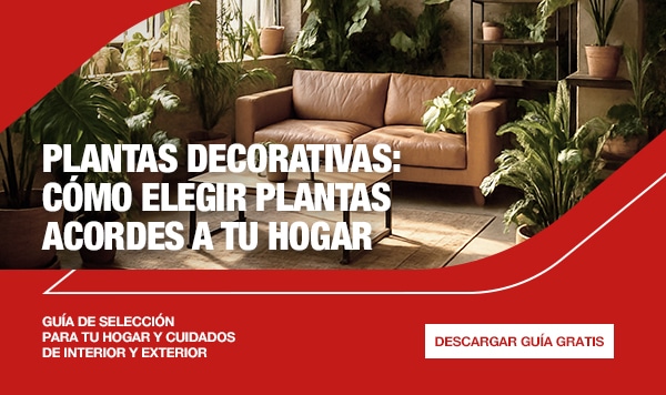 ¿Qué debo tener en cuenta para solicitar un seguro de hogar?