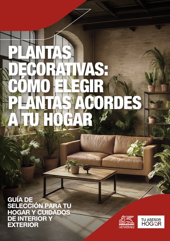 Portada Plantas Decorativas
