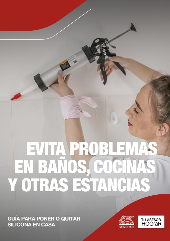 Portada Silicona en el Hogar