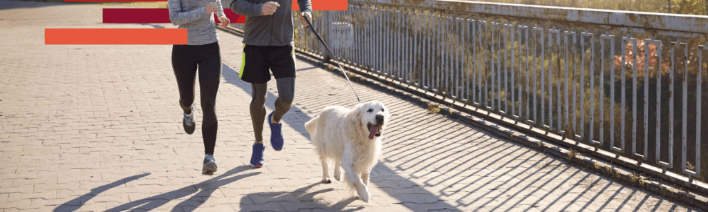 Nuestros mejores consejos para empezar a correr con tu perro