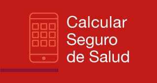 Calcular seguro en un minuto