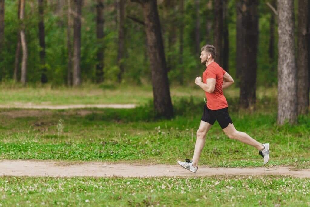 Métodos de entrenamiento y guía para elegir el más adecuado