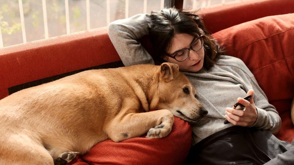 Un chaleco salvavidas digital: la tecnología inteligente mantiene a los jóvenes cada vez más a salvo de sí mismos