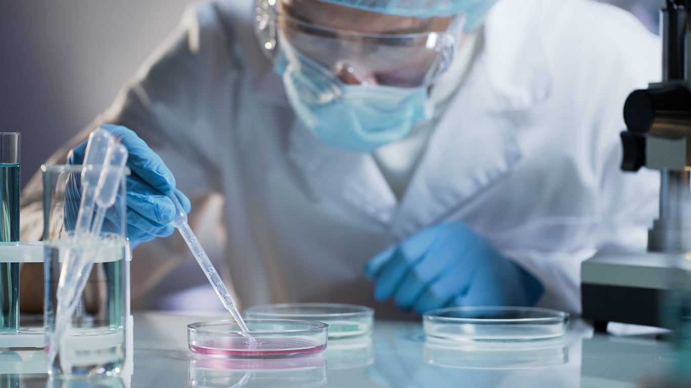 Hantavirus: qué es, síntomas, cómo se contagia y cómo prevenirlo