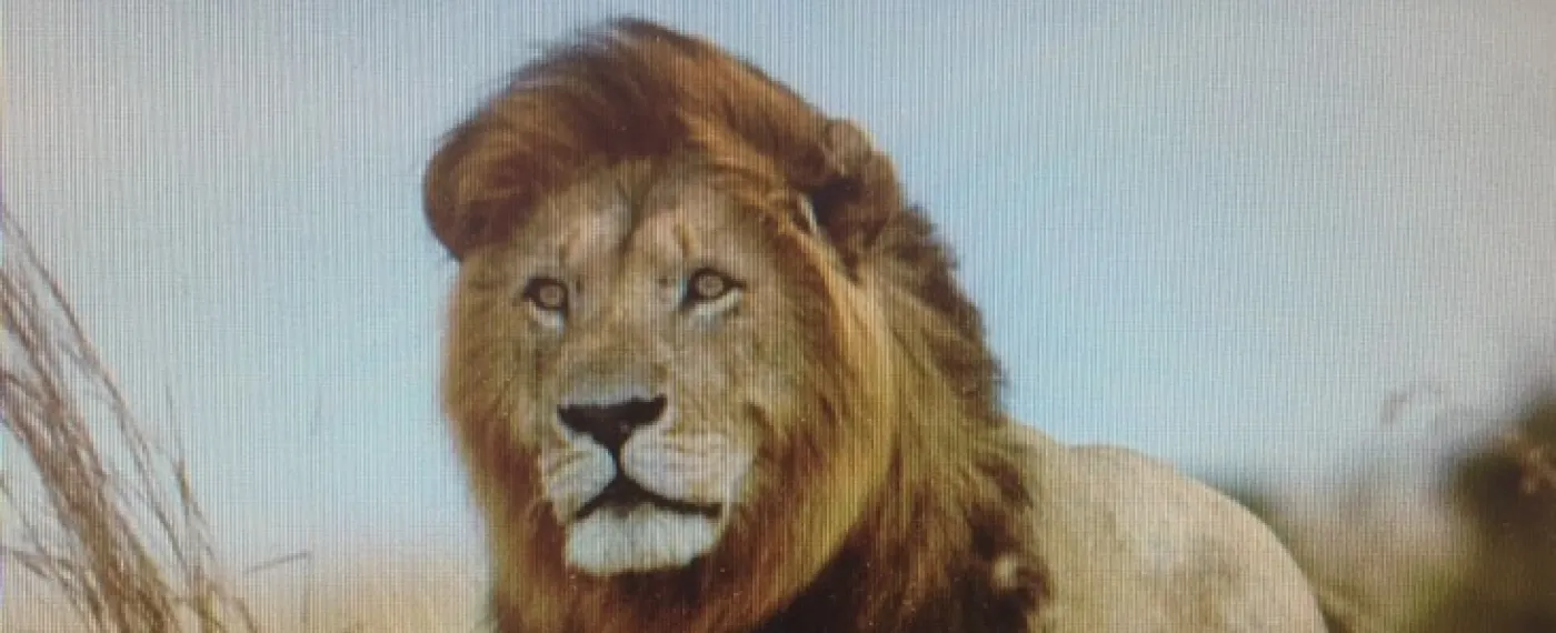 alberto-sanchez-martinez