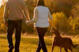 related-products-img24